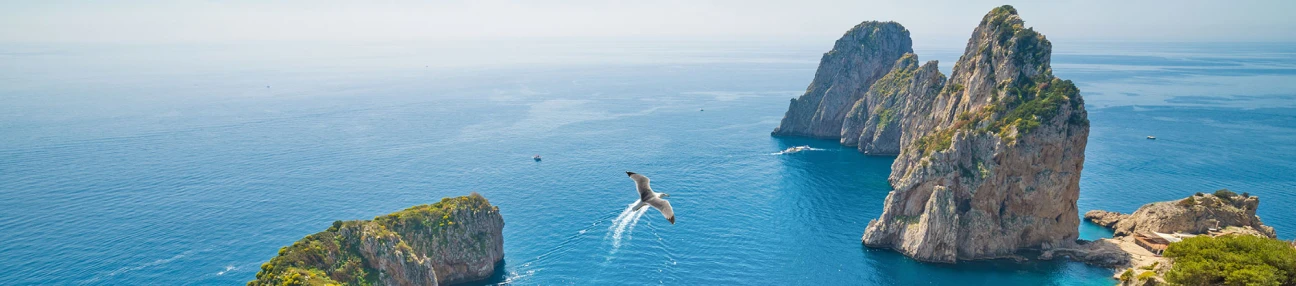 photo 21 - Lemon Travel