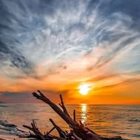 photo 50 - Lemon Travel