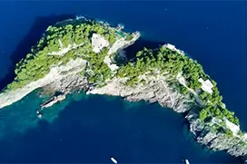 photo 6 - Lemon Travel