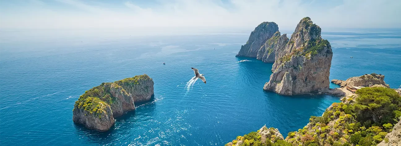 photo 1 - Lemon Travel