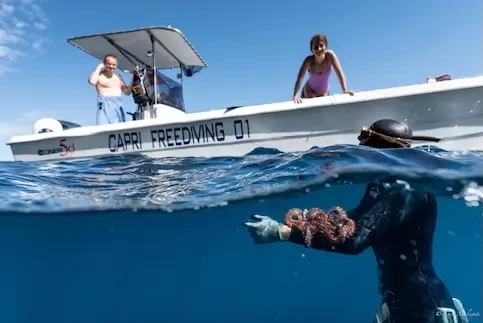 photo 29 - Lemon Travel